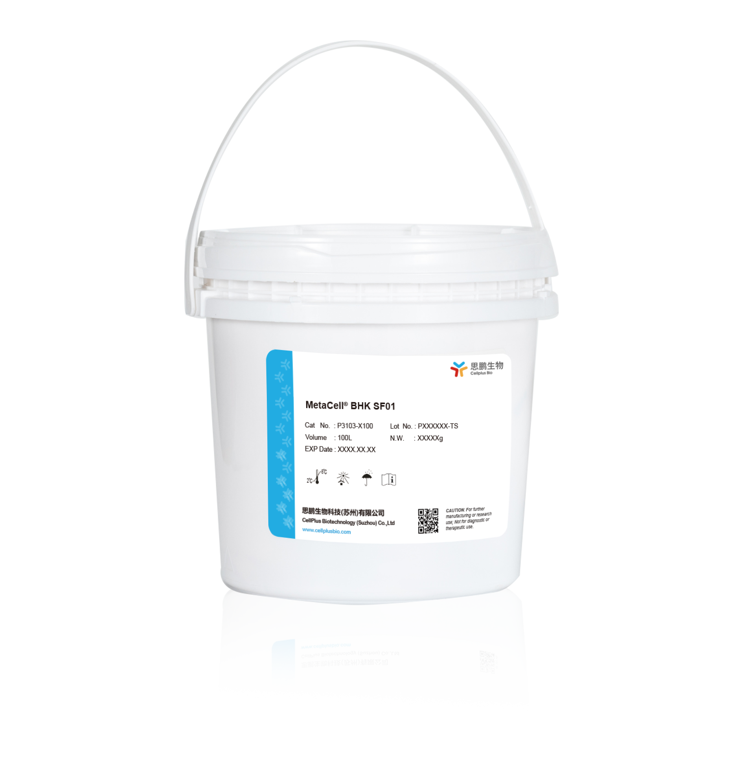 MetaCell<sup>®</sup>BHK SF01