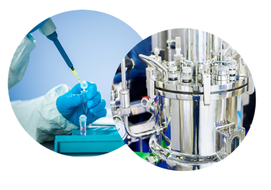 Media OEM & CMO Services