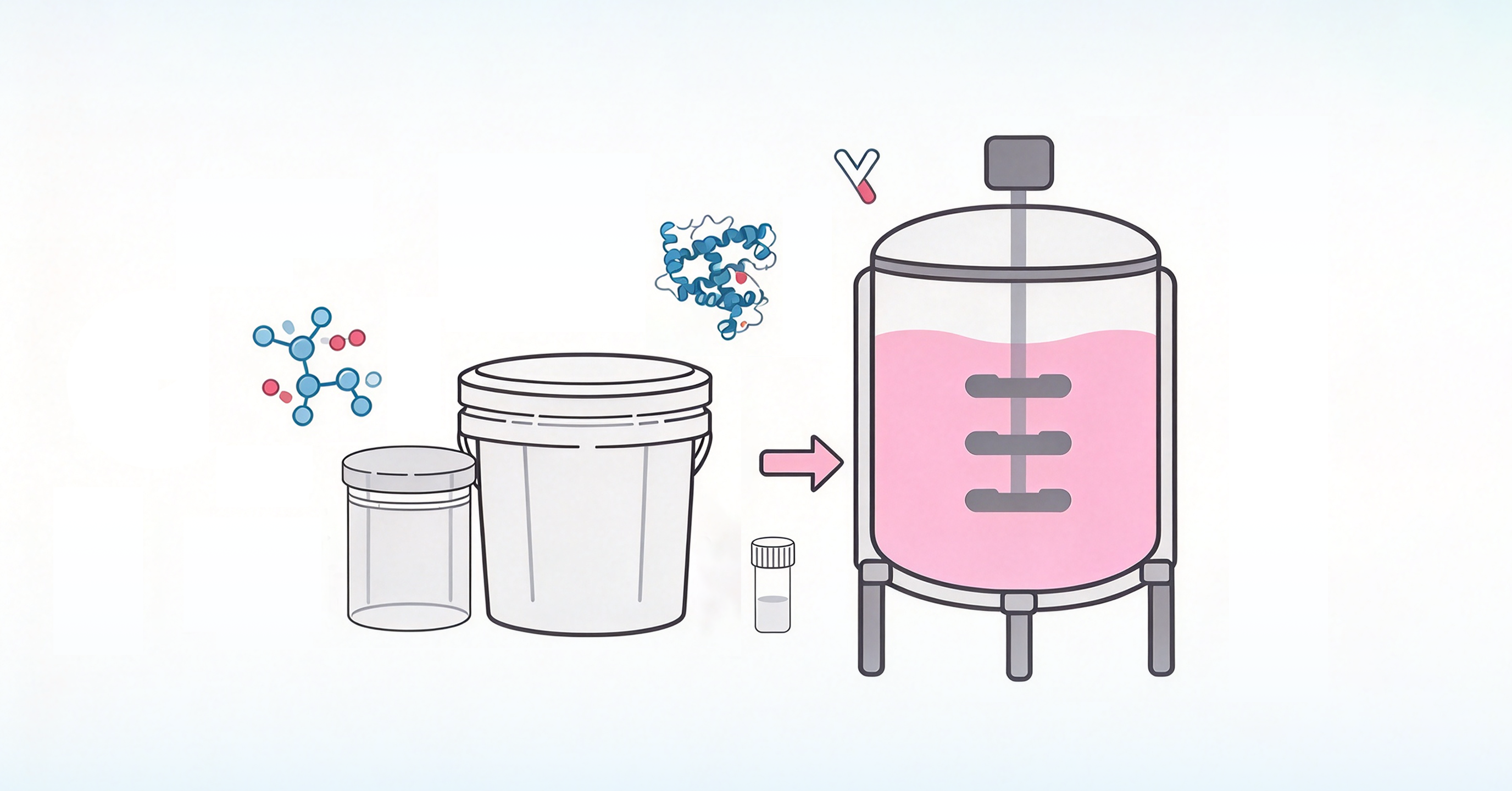 Stable Transfection for Recombinant Proteins and Antibodies