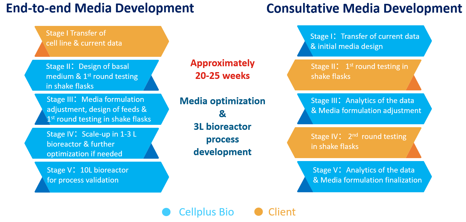 端到端培养基优化开发服务E.png 端到端培养基优化开发服务E.png