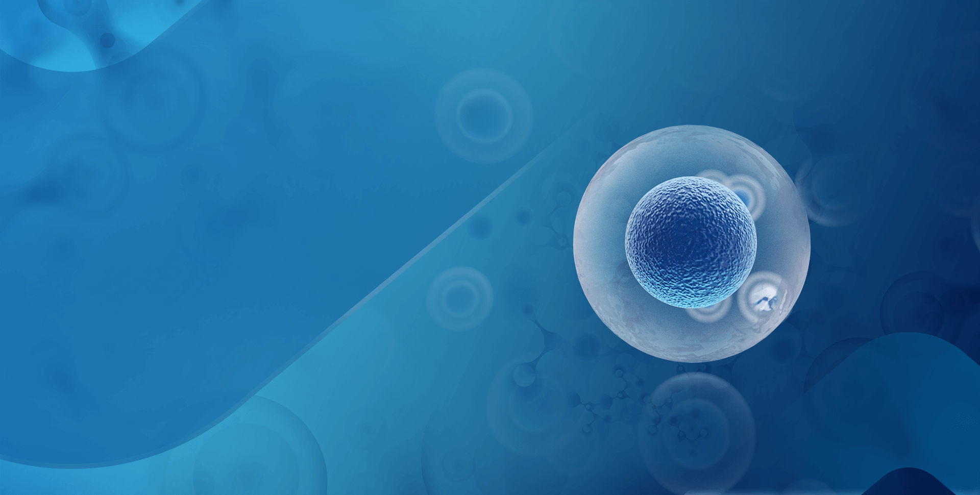Your Trusted Partner for Cell Culture Media