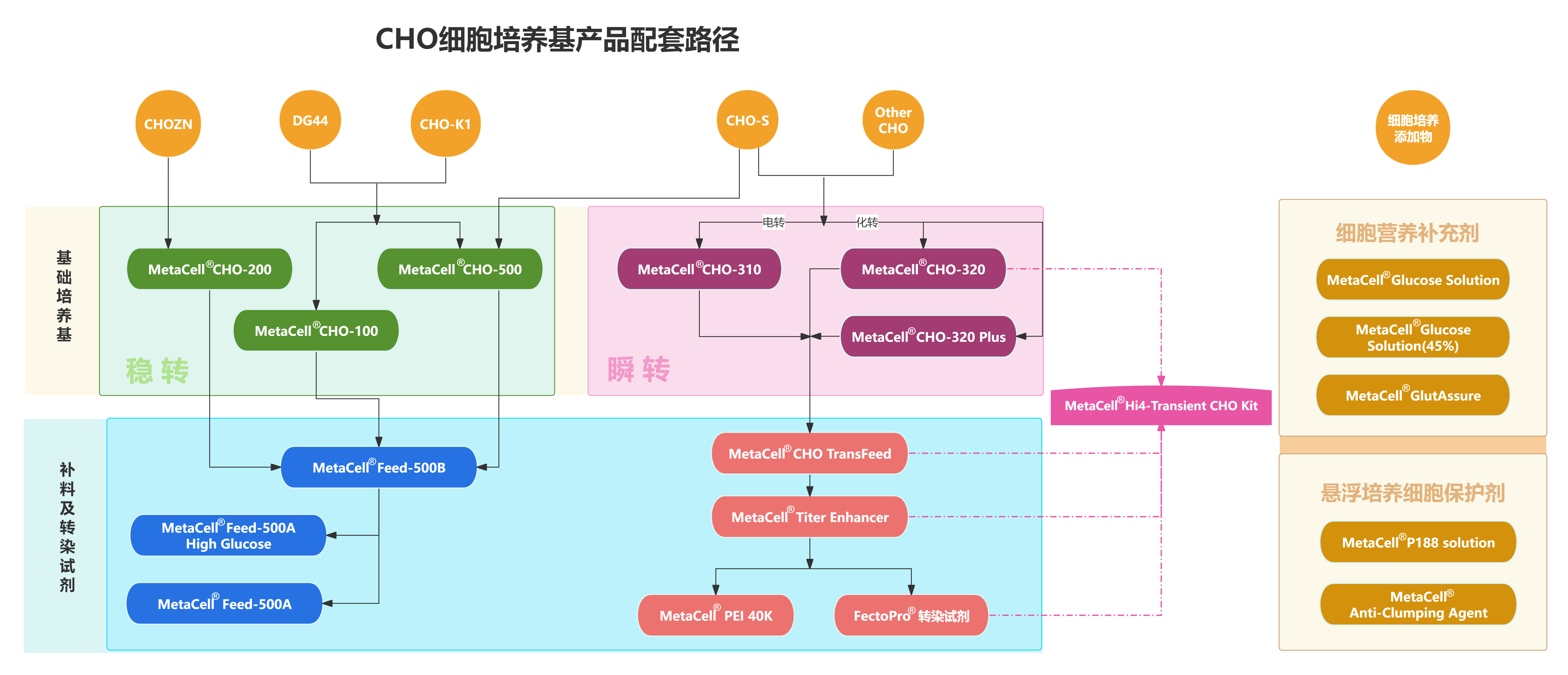 选产品不迷茫—思鹏生物CHO系列培养基配套选择路径
