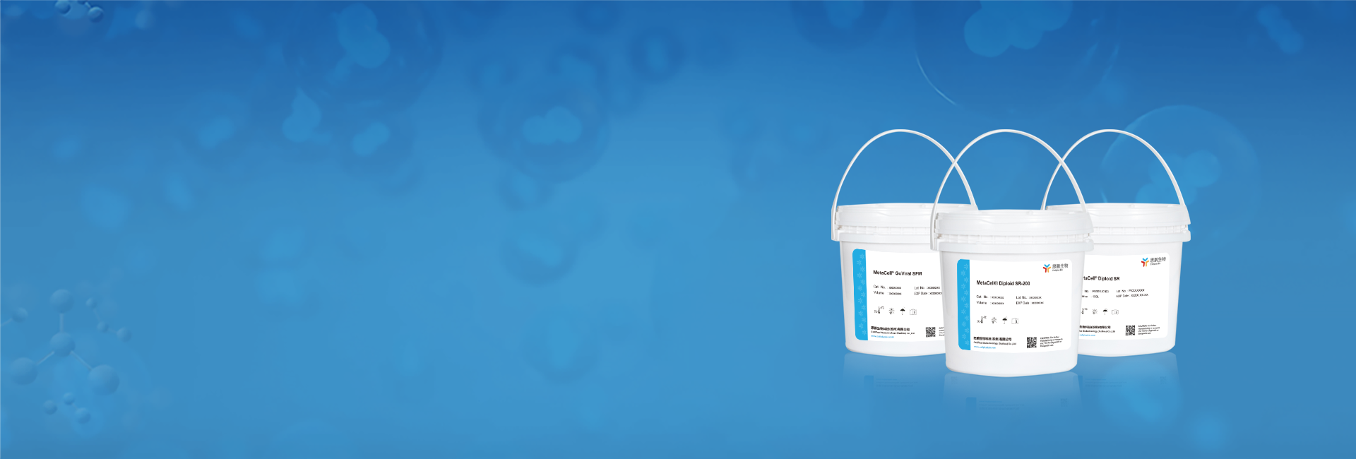 二倍体细胞培养基平台