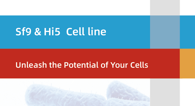 昆虫细胞培养常见问题解答