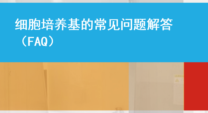 细胞培养基的常见问题解答（FAQ）