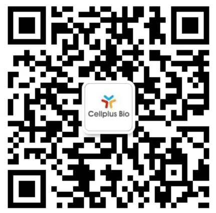 RSD（相对标准偏差）值的秘密!(图6)